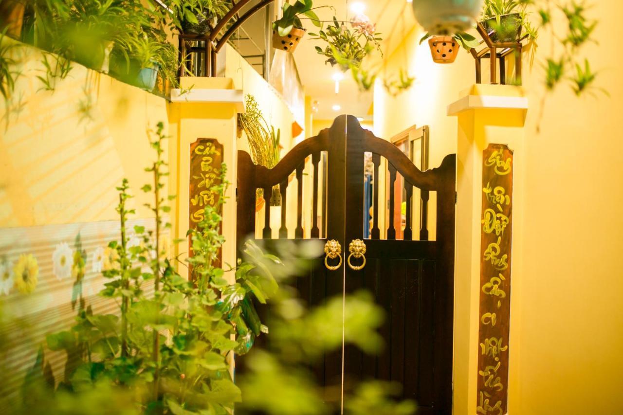 The View Homestay 호이안 외부 사진